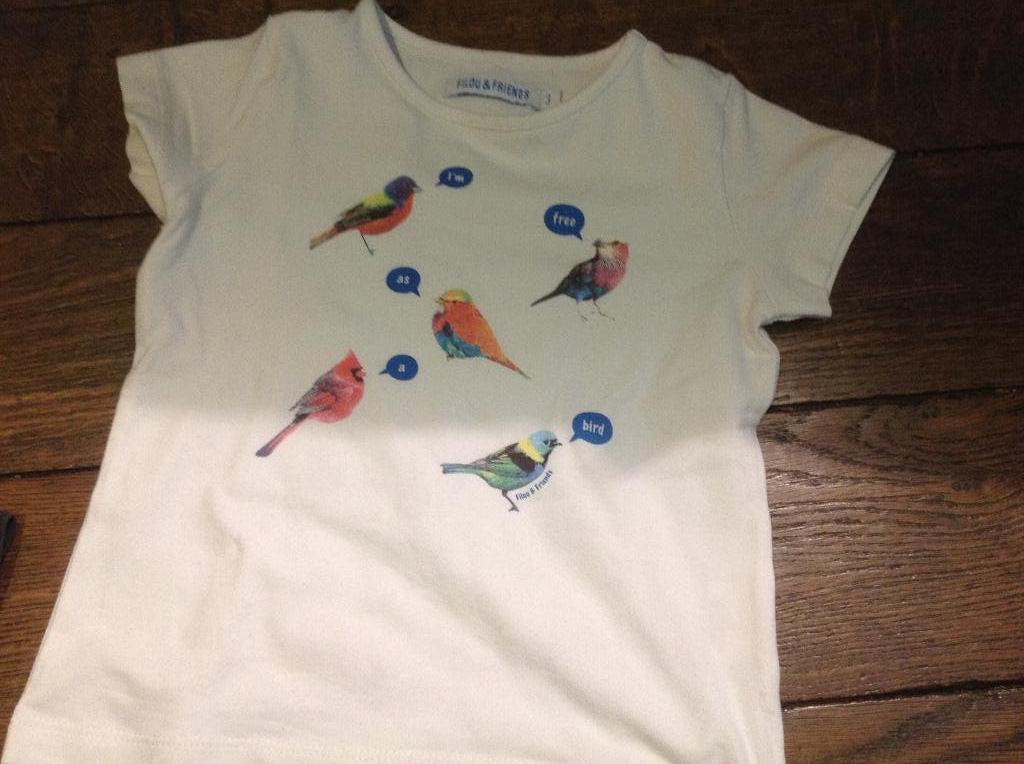 Tee-shirt Filou and Friends - Fille 3 ans, Autres types, Enlèvement, Utilisé, Filou and Friends