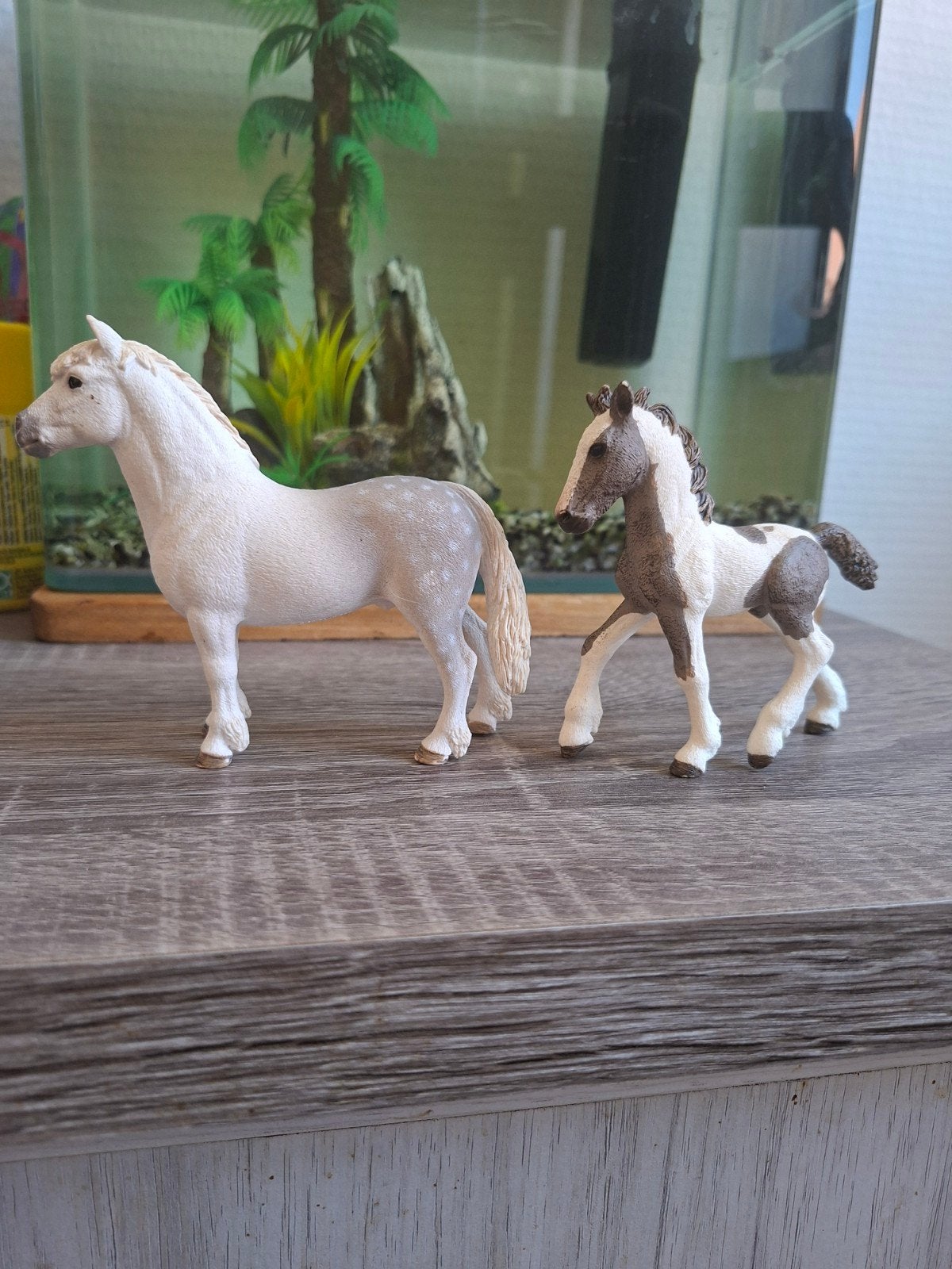 Schleich figurine poney + poulain, Enlèvement ou Envoi