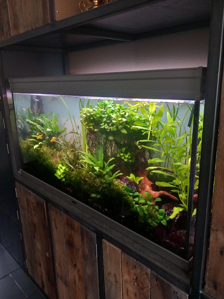 Aquarium, Dieren en Toebehoren, Ophalen, Gebruikt, Aquatlantis, Inclusief controller