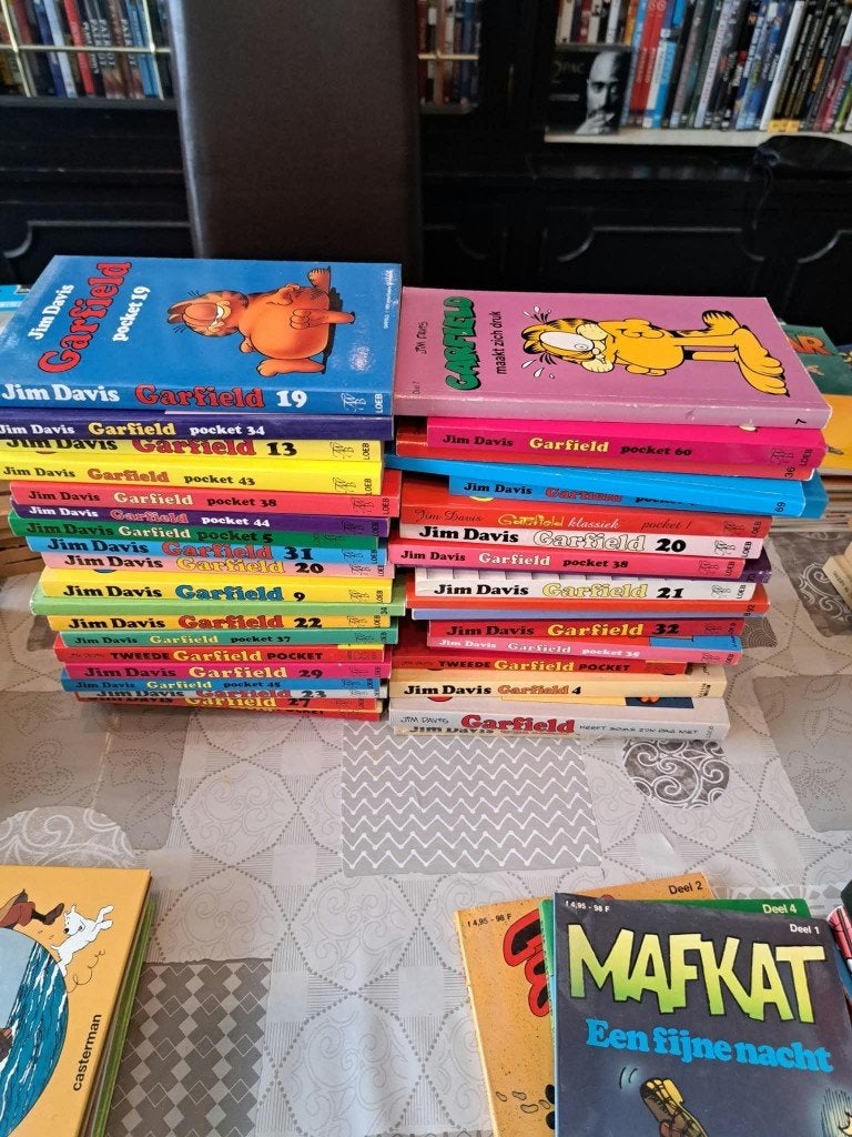 garfield pockets, Boeken, Ophalen of Verzenden, Zo goed als nieuw