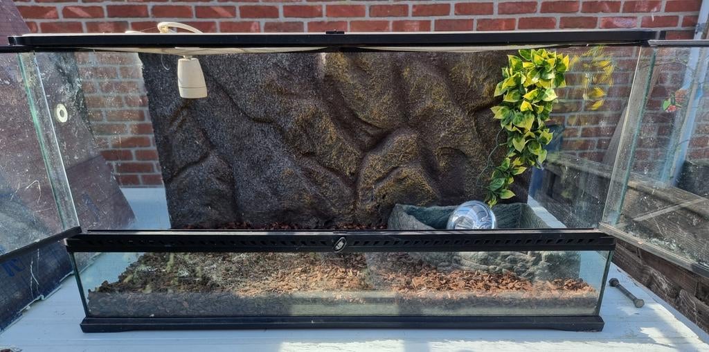 Exo terraium, Dieren en Toebehoren, Ophalen, Verlichting