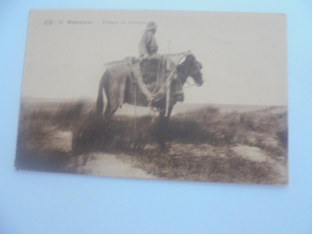 middelkerke- garnaal visser, Collections, Cartes postales | Belgique, Envoi, 1920 à 1940, Affranchie, Flandre Occidentale