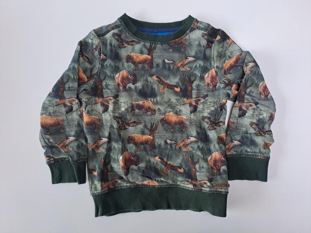 Pull vert pour bison et rapace t 104, Garçon, Enlèvement ou Envoi, Pull ou Veste, Comme neuf