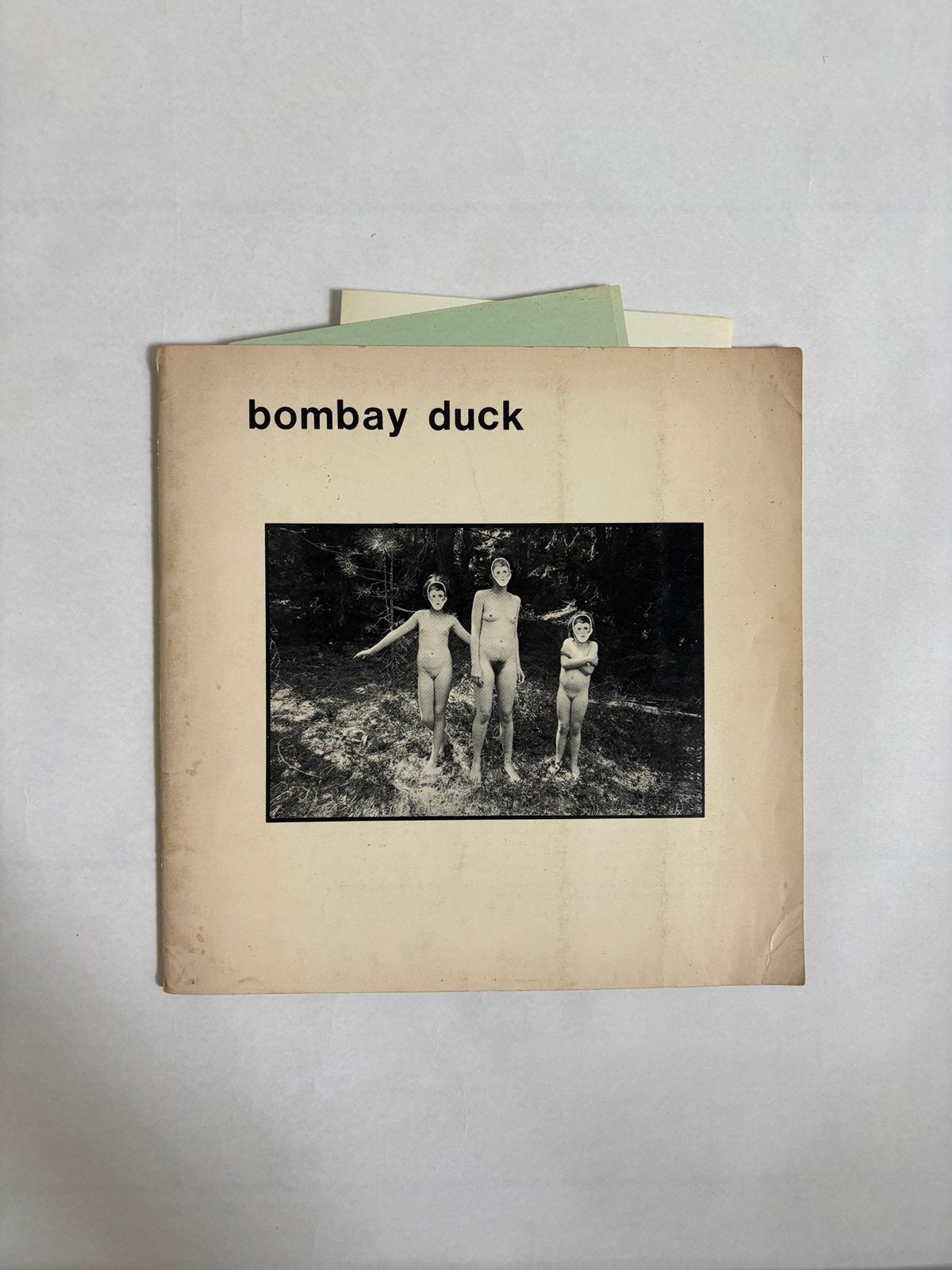 Bombay Duck #3, Livres, Envoi, Comme neuf, Photographie général
