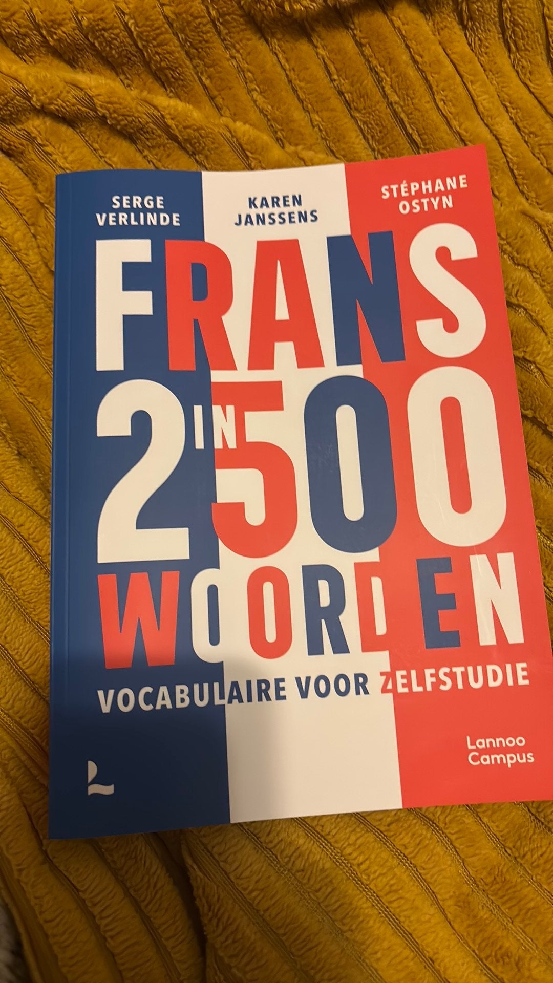 Serge Verlinde - Frans in 2500 woorden, Livres, Enlèvement ou Envoi, Serge Verlinde; Karen Janssens; Stéphane Ostyn, Utilisé, Non-fiction