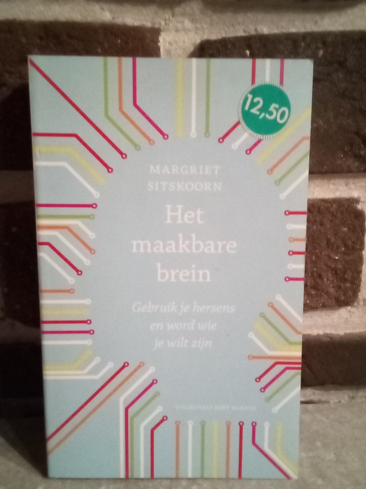 Margriet Sitskoorn - Het maakbare brein, Boeken, Psychologie, Ophalen, Margriet Sitskoorn