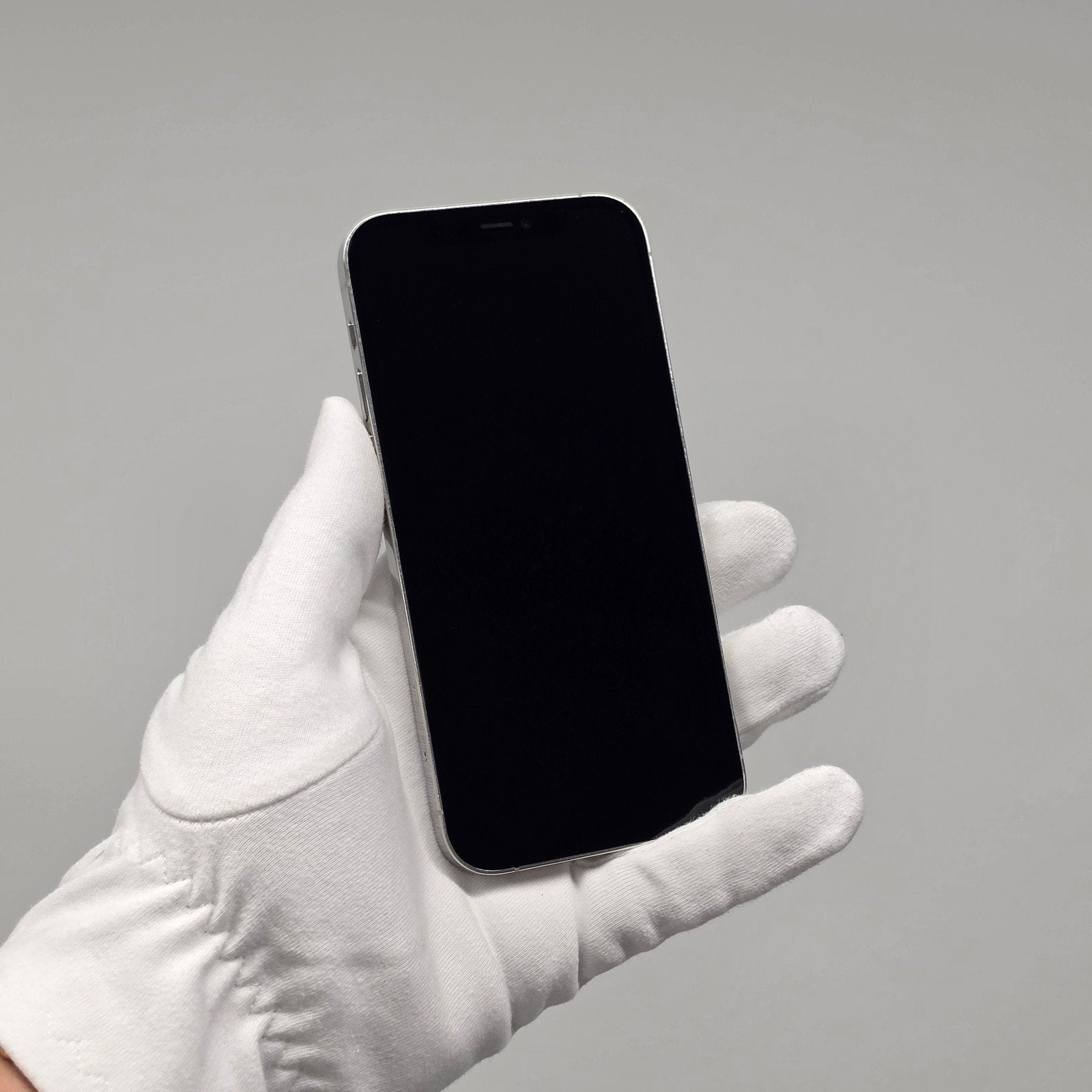 IPHONE 12 PRO 5G 256 GO, ARGENT, Enlèvement, IPhone 12, Argent