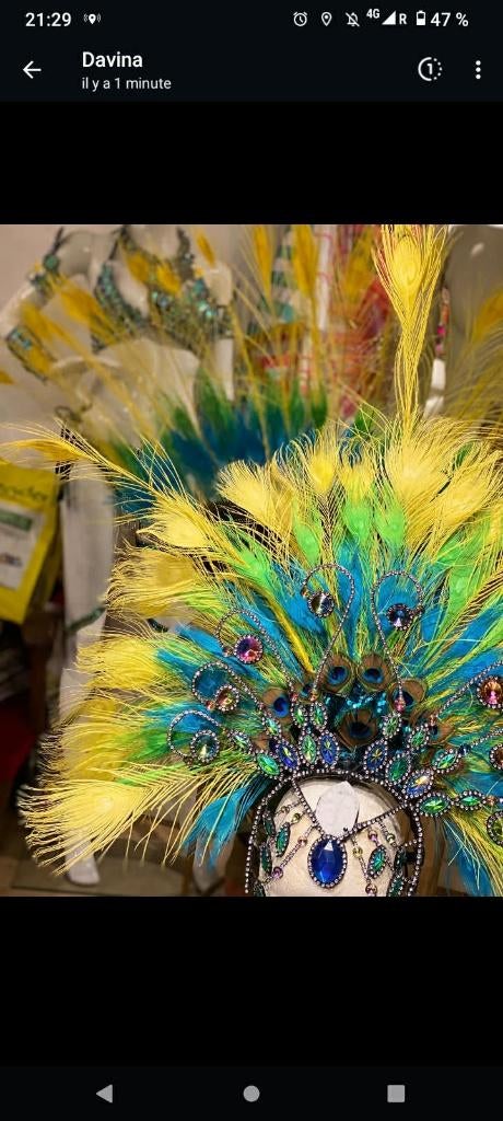 Costume de samba PAON, Enlèvement, Utilisé, Autres types