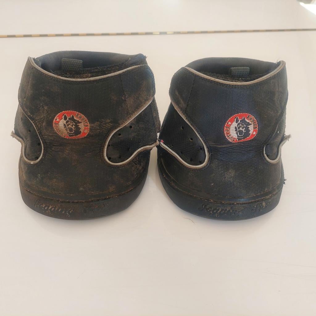 Hoefschoenen equine fusion, Dieren en Toebehoren, Ophalen