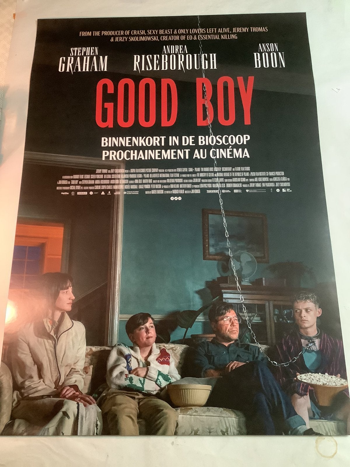 GOOD BOY   FILMPOSTER   70-100 cm, Ophalen of Verzenden, Zo goed als nieuw