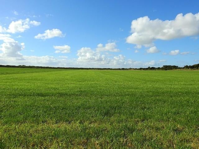 GEZOCHT Grasland, Zakelijke goederen, Ophalen, Akkerbouwbedrijf