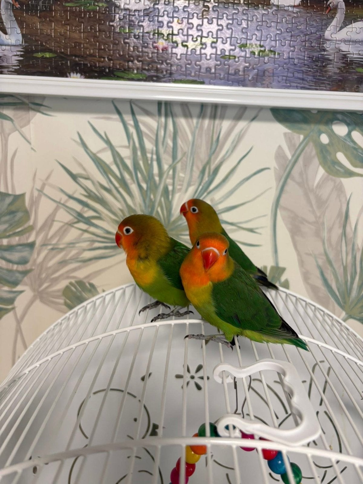 Inseparable