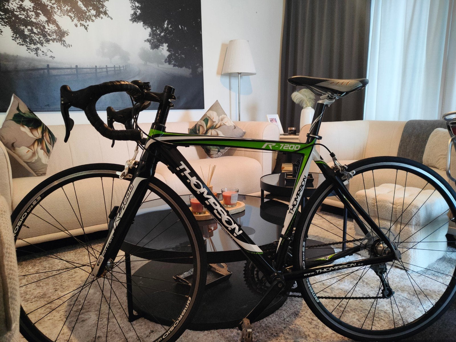 Vélo de route Thompson Vélo de course, Autres marques, Frein sur jante, 49 à 53 cm, Aluminium