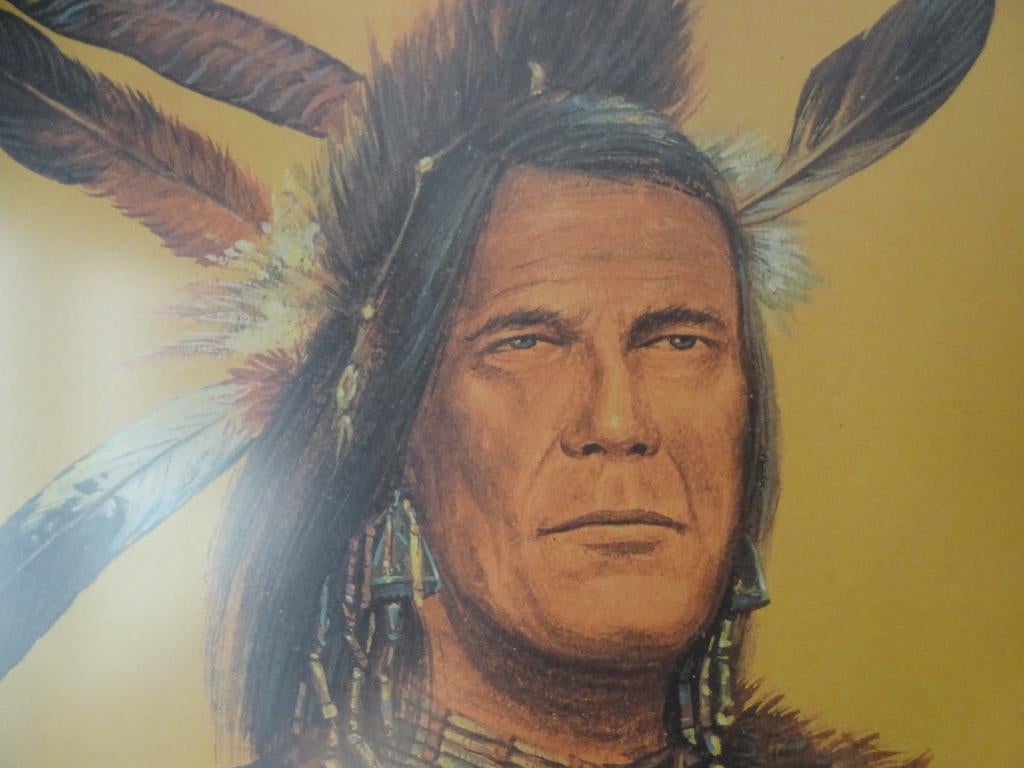 Vintage Greenpeace poster ingelijst – Cree profetie, Ophalen
