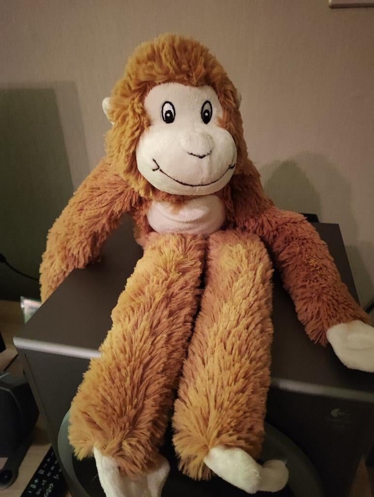 Singe, Enlèvement