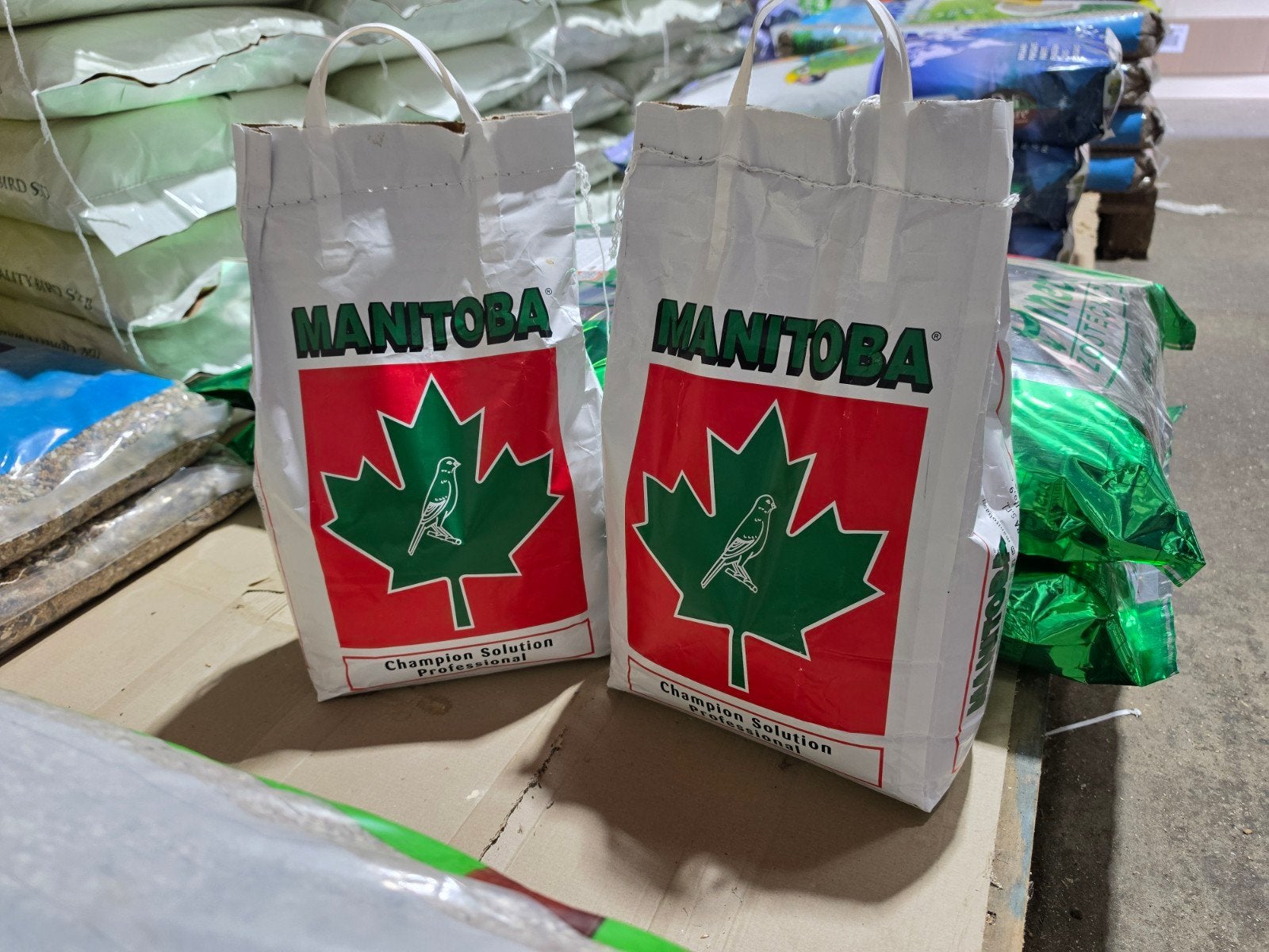 Manitoba Canary T3 Platino (avec périlla) - 5 kg, Animaux & Accessoires, Enlèvement, Neuf, Manger et Boire