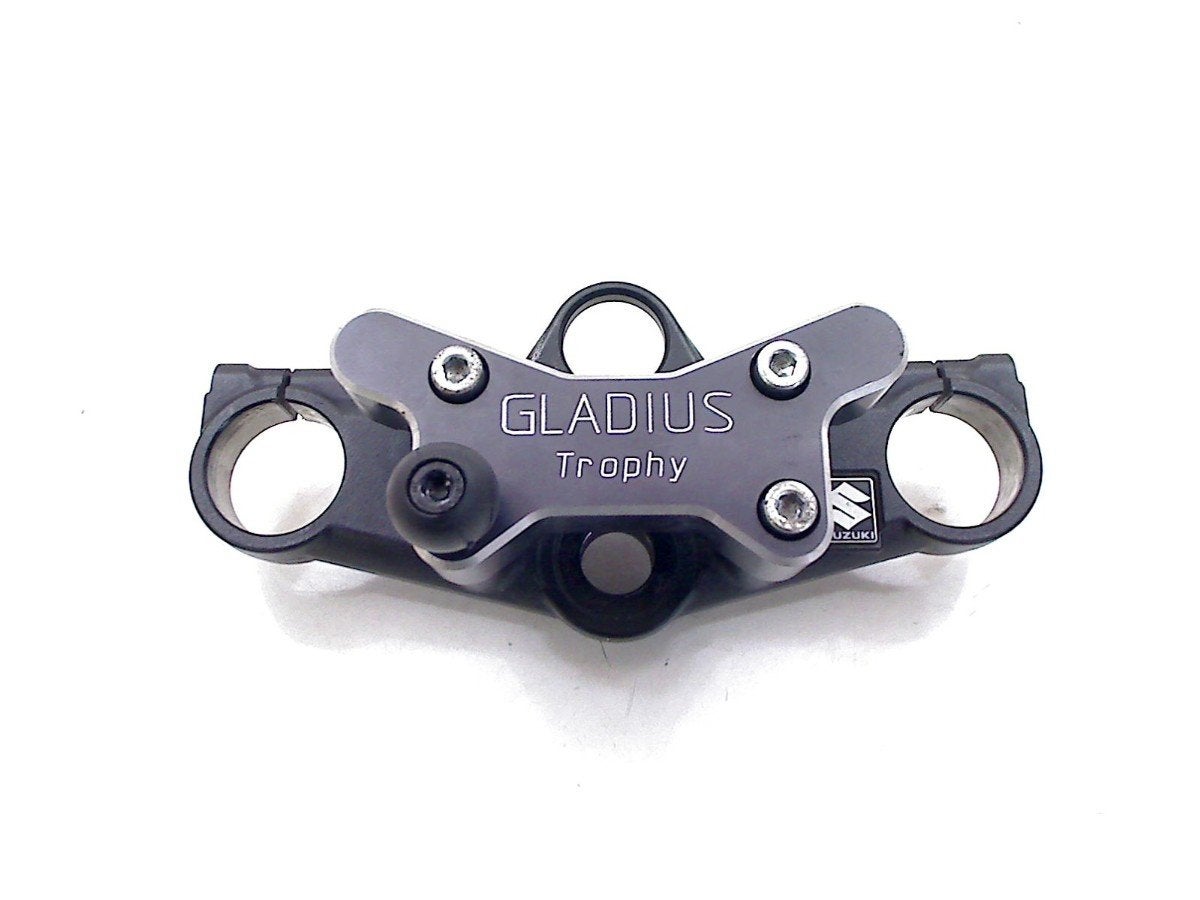 KROONPLAAT Suzuki SFV 650 Gladius (SFV650) (01-2000/-), Motoren, Dhr. S. di Majo, Gebruikt, Info@cama-motorparts.nl, P.J. Troelstraweg 8 8
3144 CX  MAASSLUIS, NL