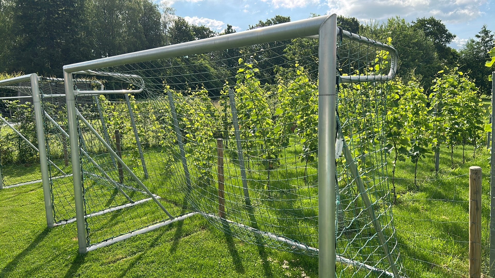 Voetbalgoal Calzio 3x2 m, Sport en Fitness, Voetbal, Ophalen, Zo goed als nieuw