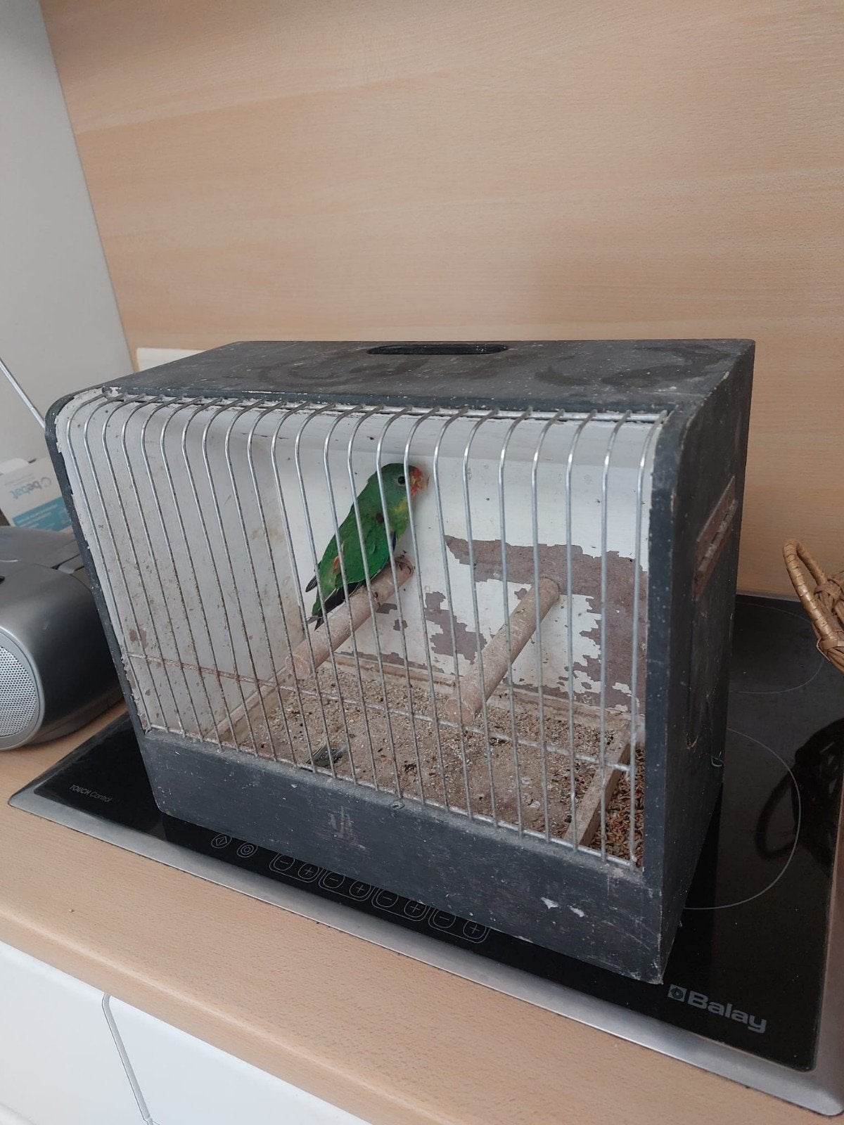Swift 2026, Dieren en Toebehoren