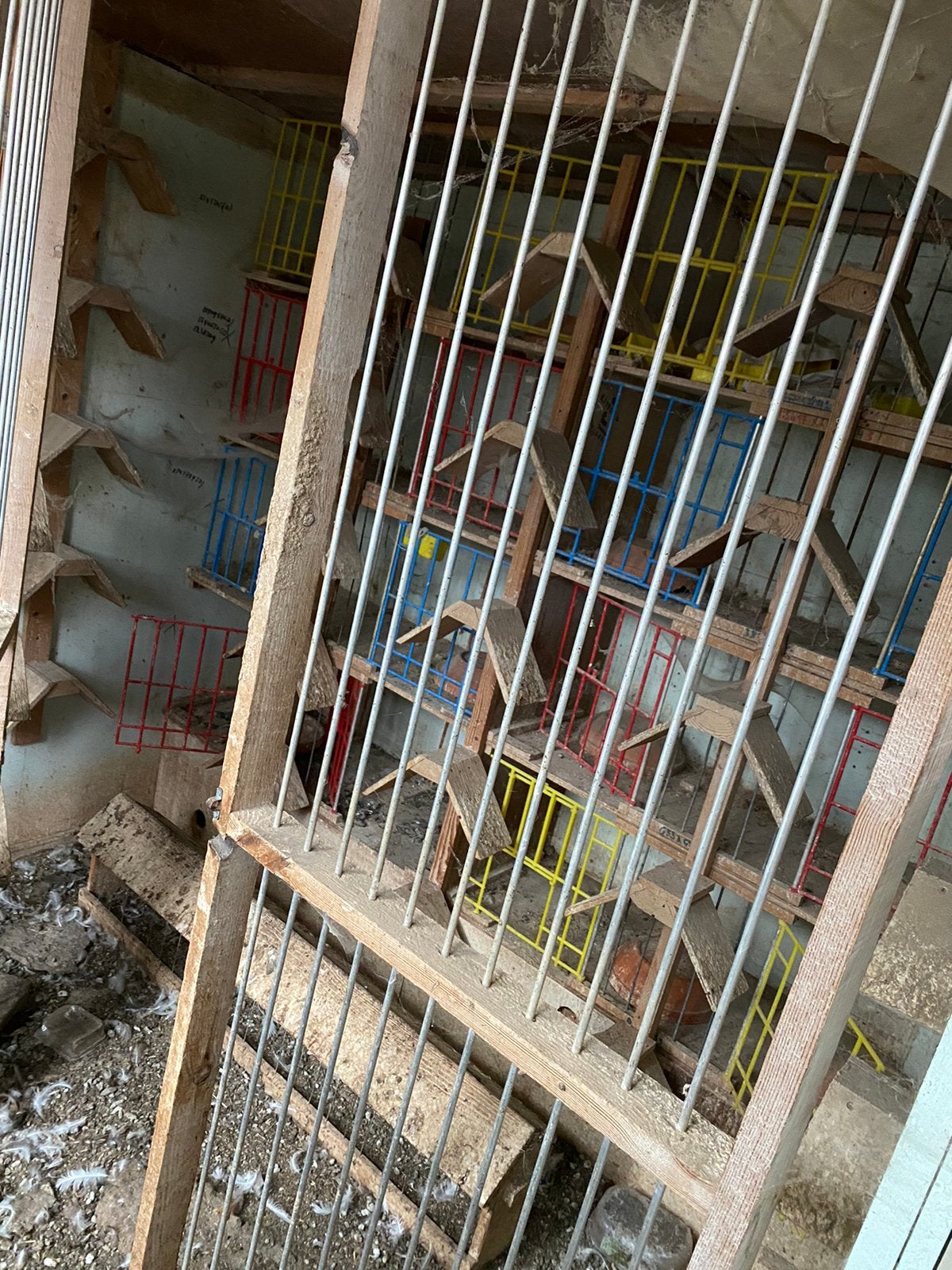 Duivenkoten en materiaal, Dieren en Toebehoren