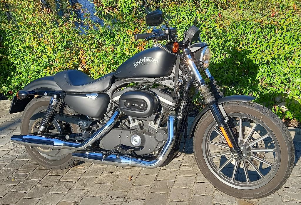 Harley-Davidson Iron 883 (1200cc-conversie) 2012 - 8030 km, Occasion, Plus de 35 kW, 2 cylindres, Particulier