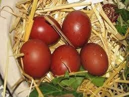 Poules marans pures meilleur prix en Belgique 0499/082381, Femelle, Poule ou poulet