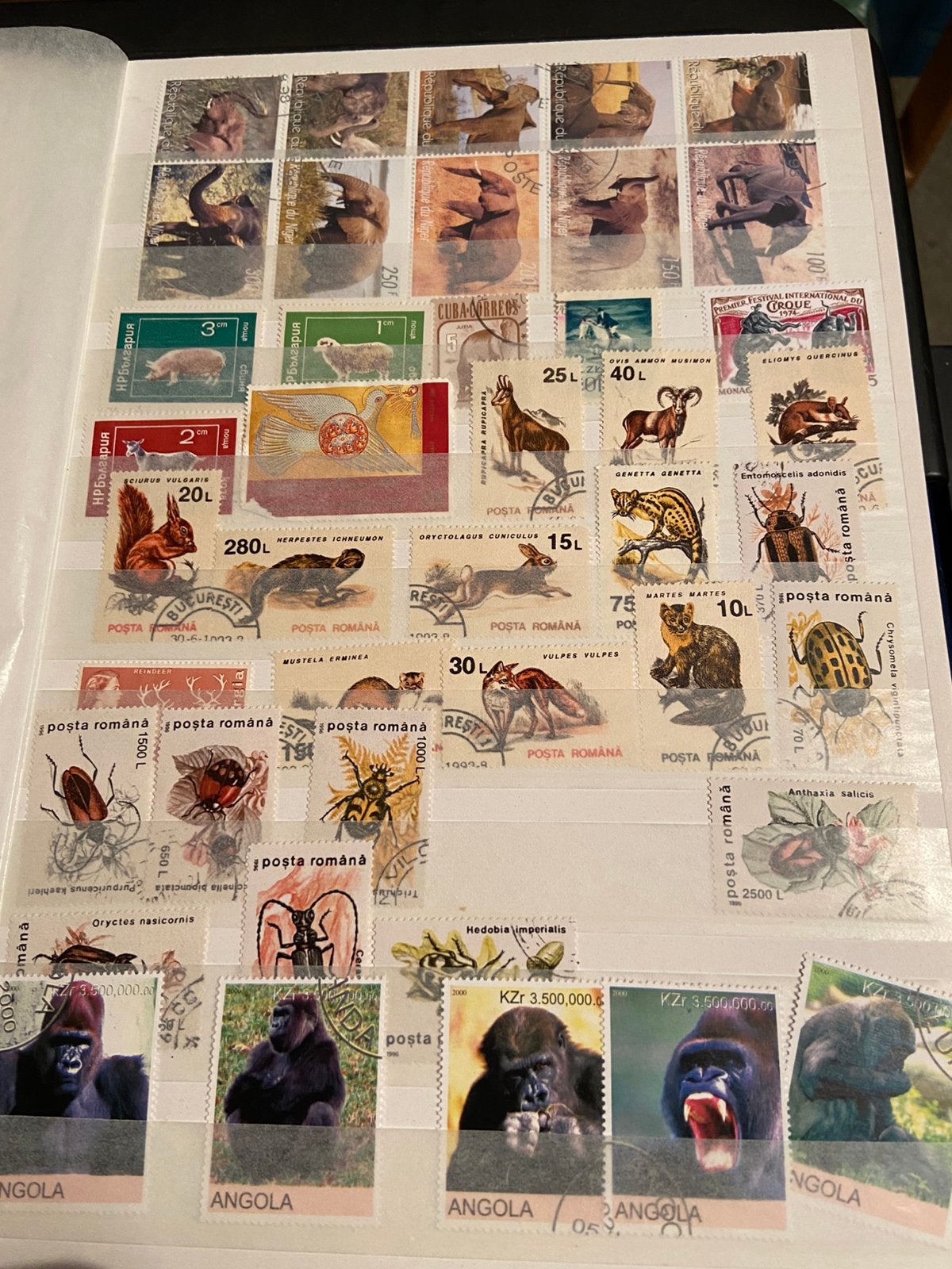 Postzegels, Timbres & Monnaies, Enlèvement ou Envoi, Autre, Affranchi, Neuf