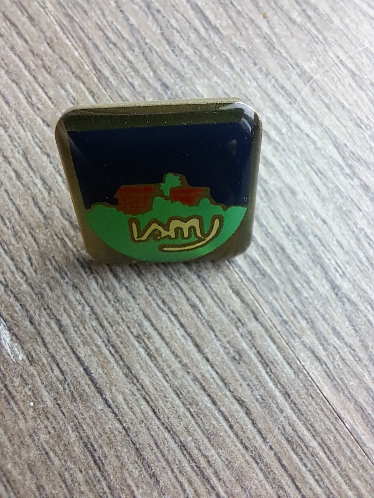 Pins Institut Sainte Marie  Jambes, Enlèvement
