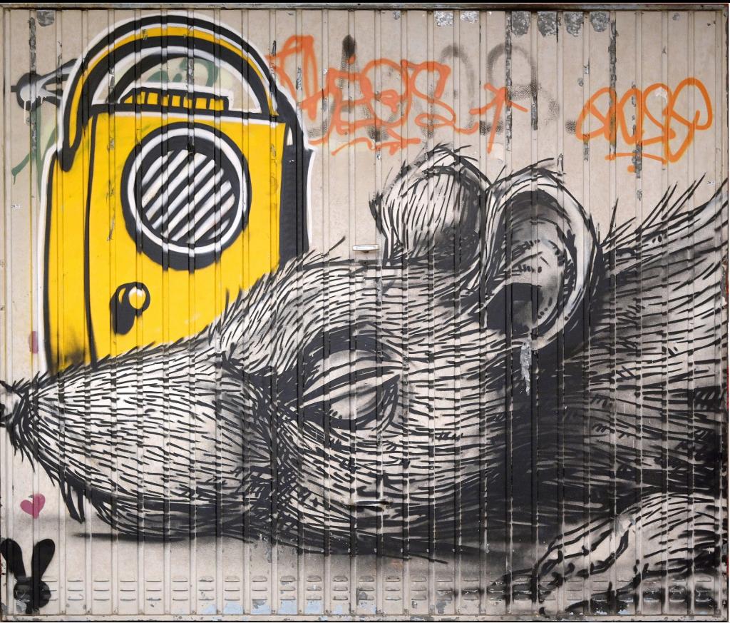 ROA-Aérosol sur porte de garage-Graffiti-street art, Antiek en Kunst, Ophalen