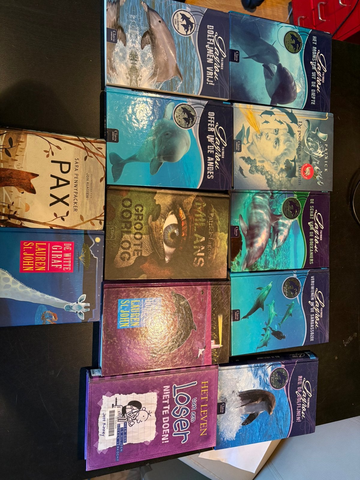Boeken perfecte staat, Boeken, Fantasy, Zo goed als nieuw, Ophalen of Verzenden