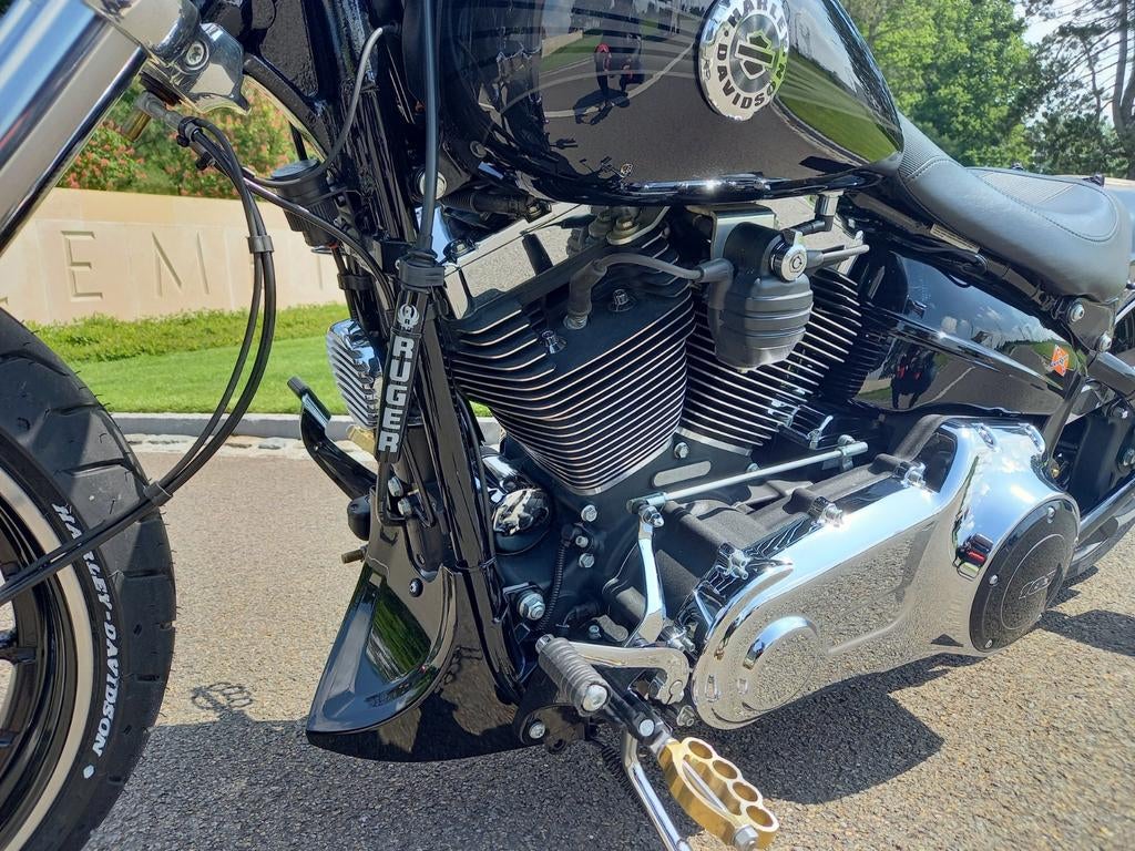 Harley-davidson Breakout 103, Particulier