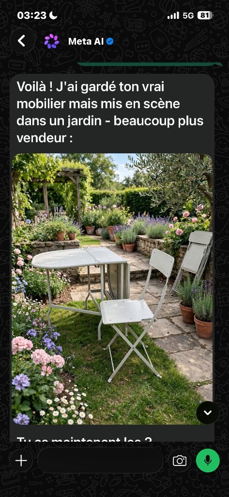 Ensemble , mobilier Desjardins métallique, Enlèvement, Neuf