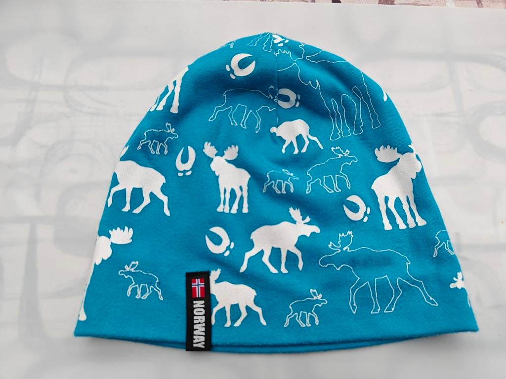 Norway muts, Kinderen en Baby's, Babykleding | Petten en Hoeden, Ophalen of Verzenden, Zo goed als nieuw, Jongetje of Meisje