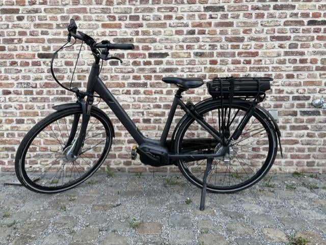 E-Bike Giant Entour E+1, Fietsen en Brommers, Ophalen, Gebruikt, Giant