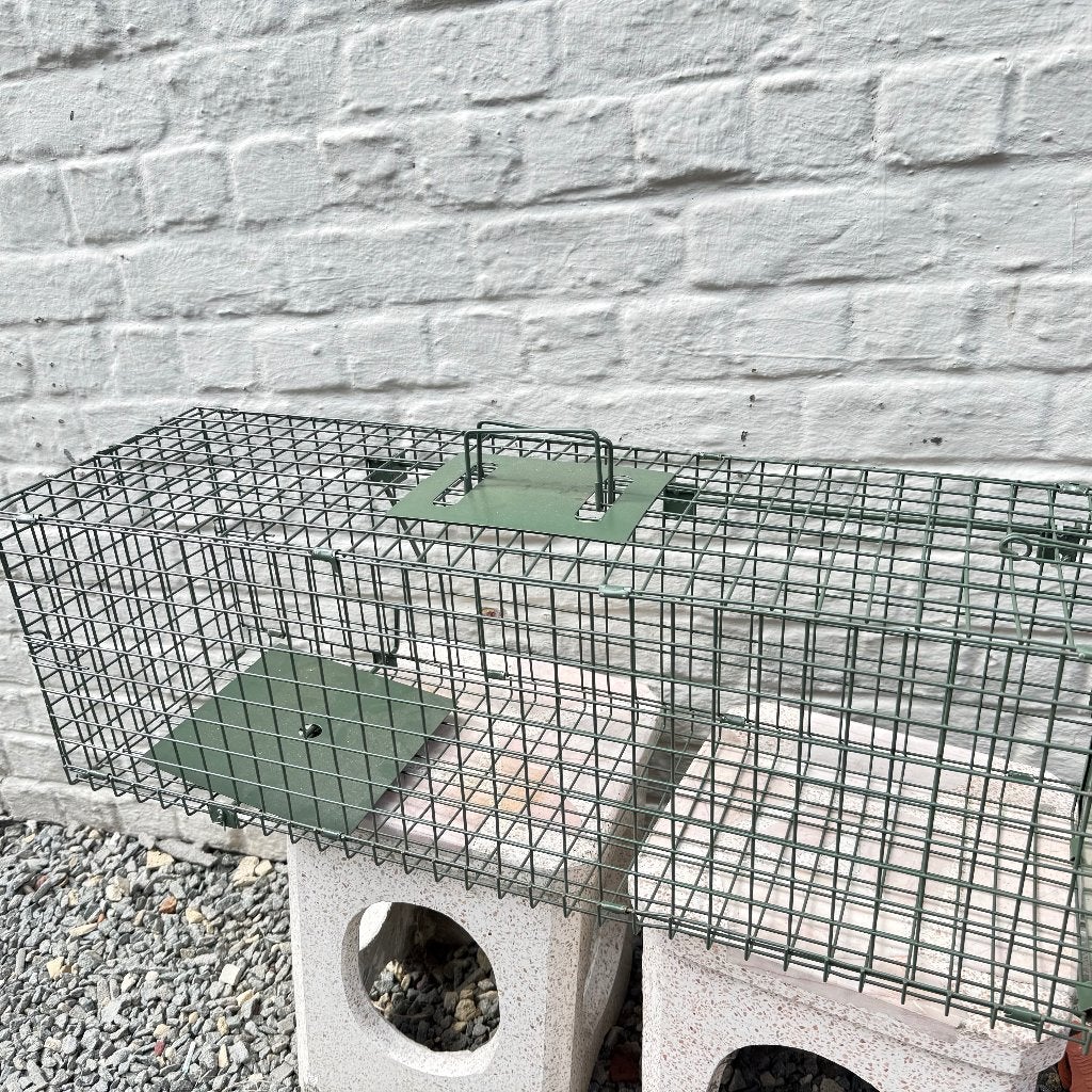 ratten val , kooi, professionele val ,  100%, Januari