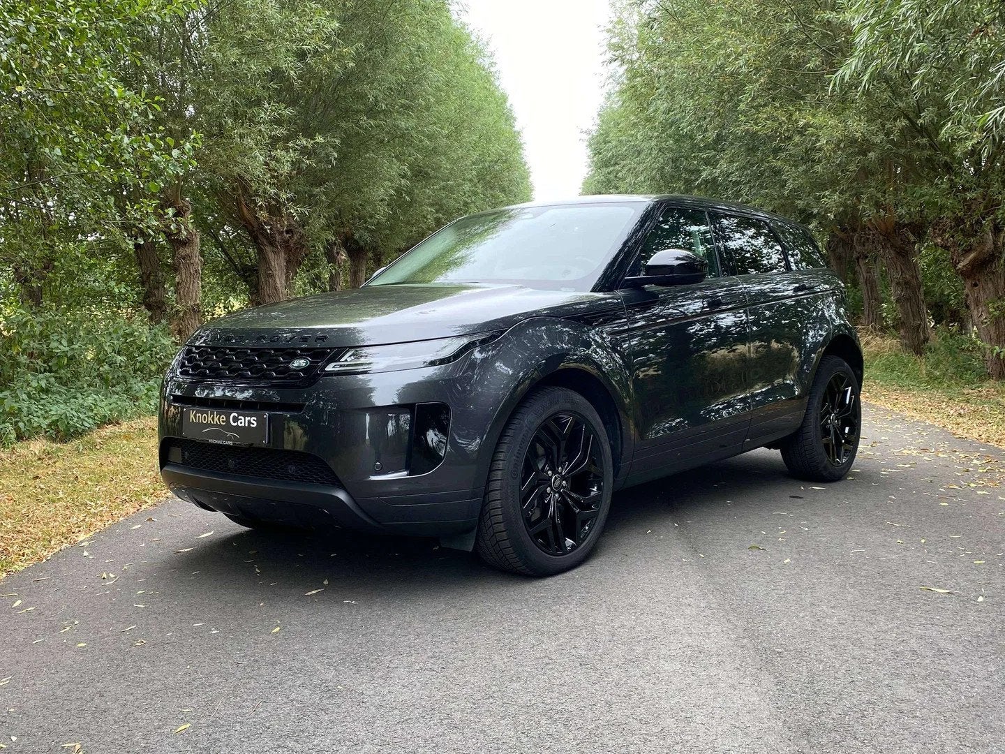 Land Rover Range Rover Evoque VERWACHT P300E Plug in Hybrid,, Auto's, Automaat, Euro 6, 300 pk, https://public.car-pass.be/vhr/84b98fda-f94a-4c2e-a3f3-9abd80675667