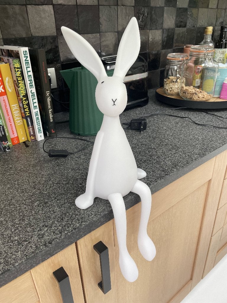 Rose in april nachtlamp - Joseph the bunny, Met schakelaar, Wit, Overige merken, Kunststof