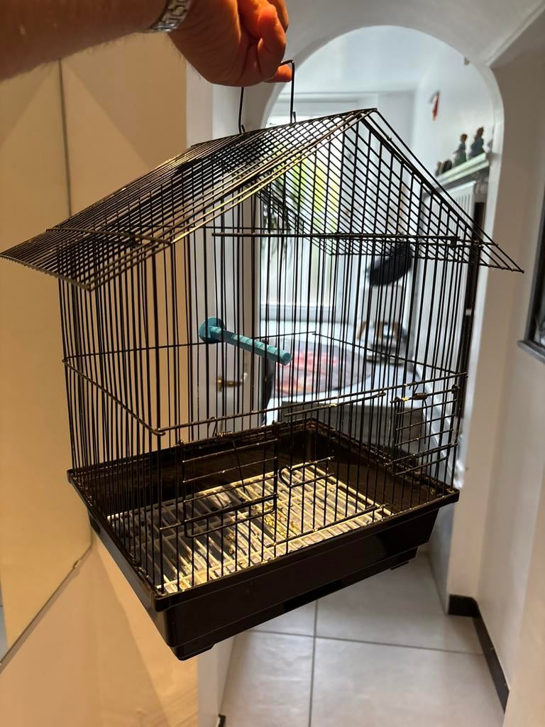 Vogel kooitje, Dieren en Toebehoren, Ophalen, Zo goed als nieuw