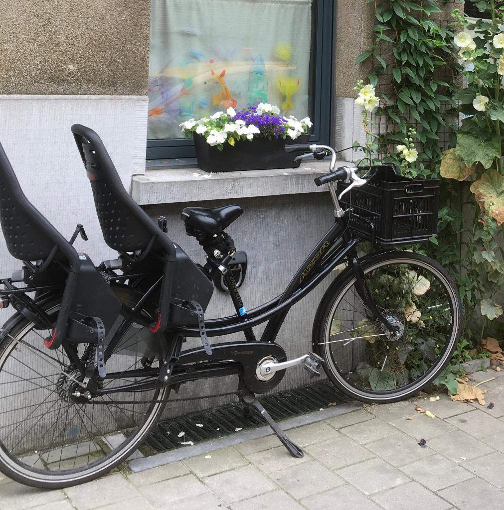 Longtail fiets Azor (tweelingfiets), Fietsen en Brommers, Ophalen, Gebruikt, Azor