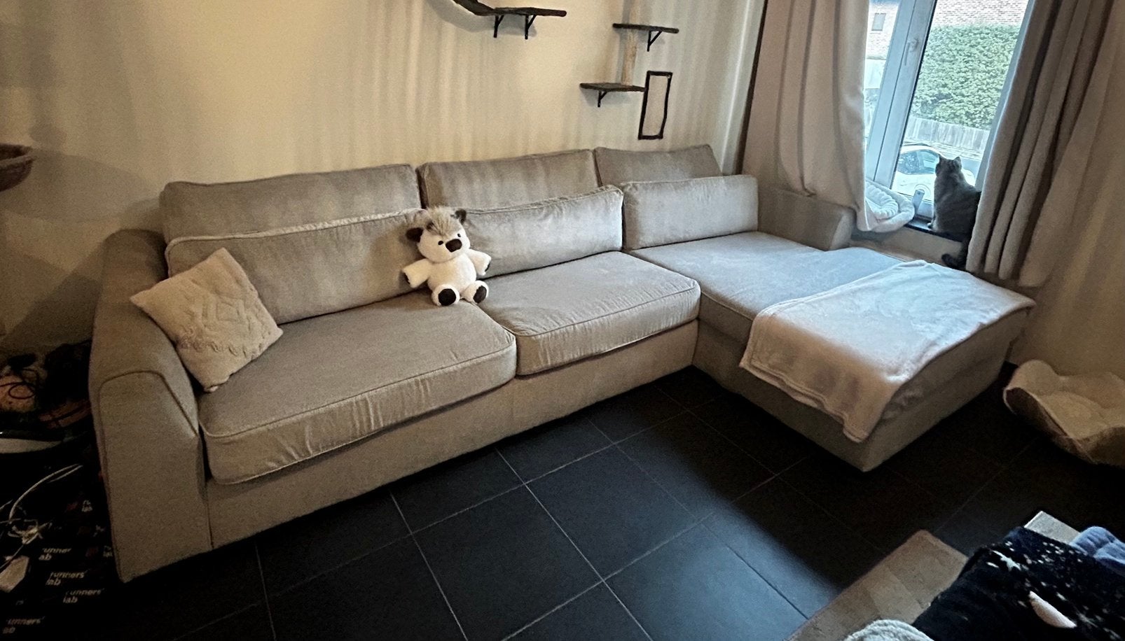 Zetel weba alcamo, Enlèvement
