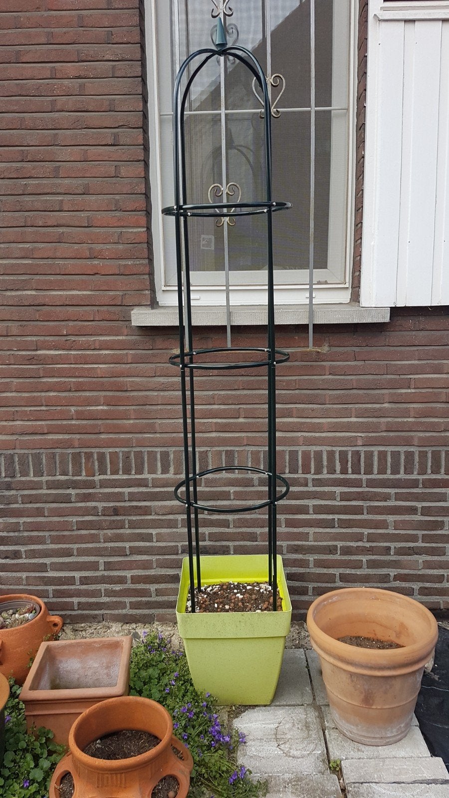 Nieuw Plantensteun voor klimplanten, Tuin en Terras, Ophalen