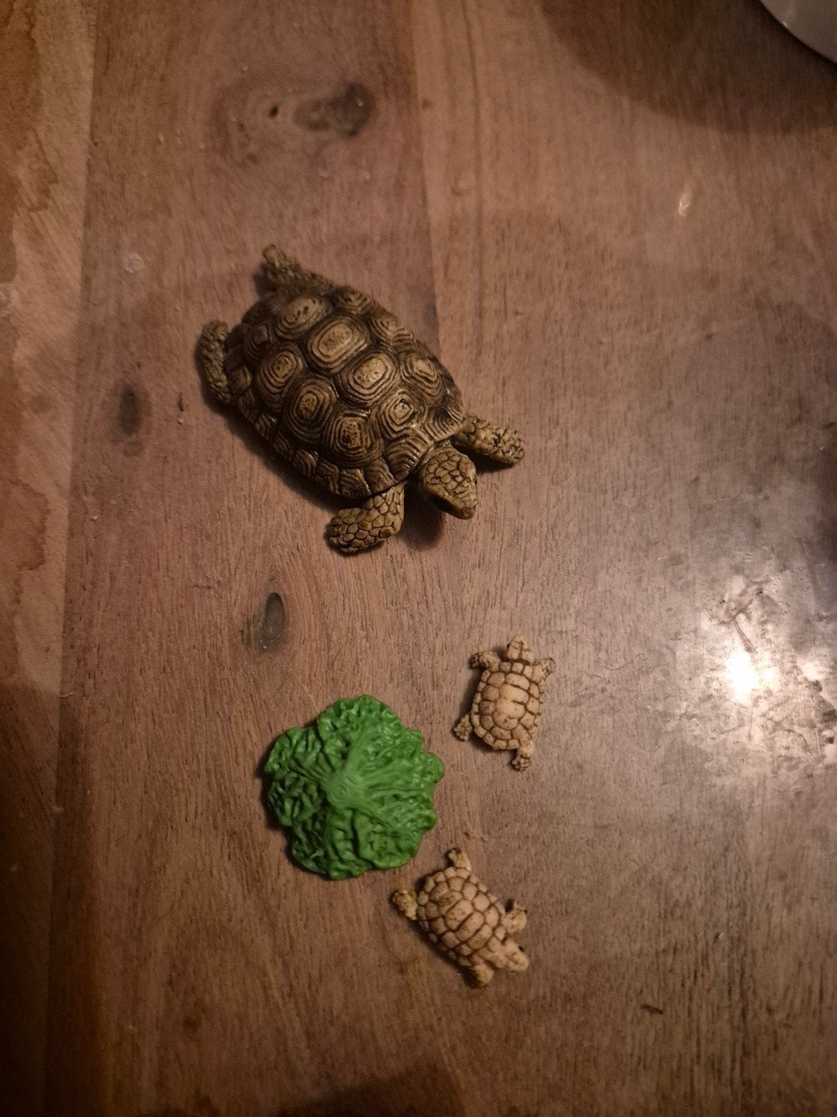 schleich landschildpad met 2 kleintjes en krop sla, Verzenden