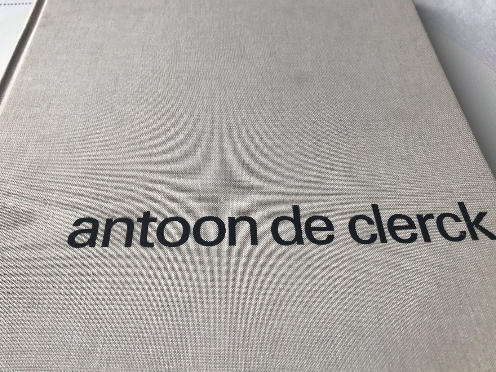 Antoon De Clerck schilderijen 180pag generatie Raveel, Ophalen of Verzenden, Zo goed als nieuw, Schilder- en Tekenkunst
