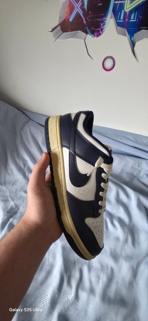 Nike dunk m 42, Ophalen