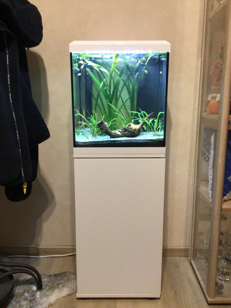Juwel aquarium, Couvercle inclus, Aquarium vide, Enlèvement, Utilisé
