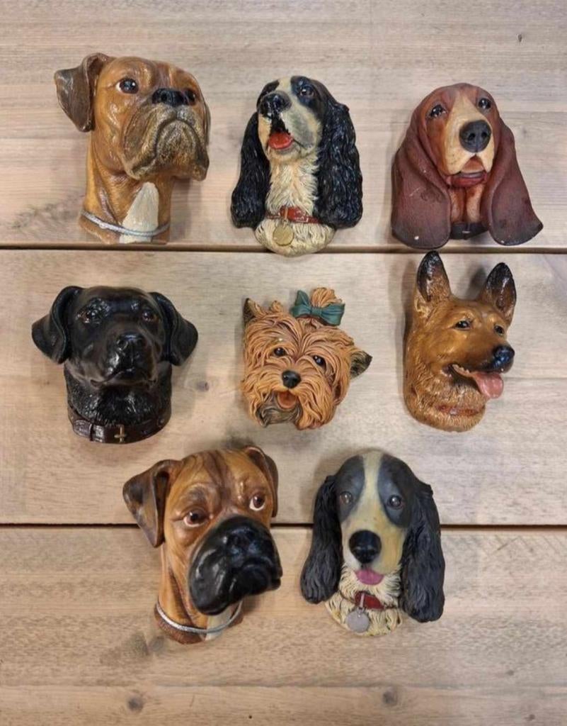 11 vintage Bosson, Bossons hoofden, gips & made in England., Collections, Statues & Figurines, Utilisé, Animal, Enlèvement ou Envoi
