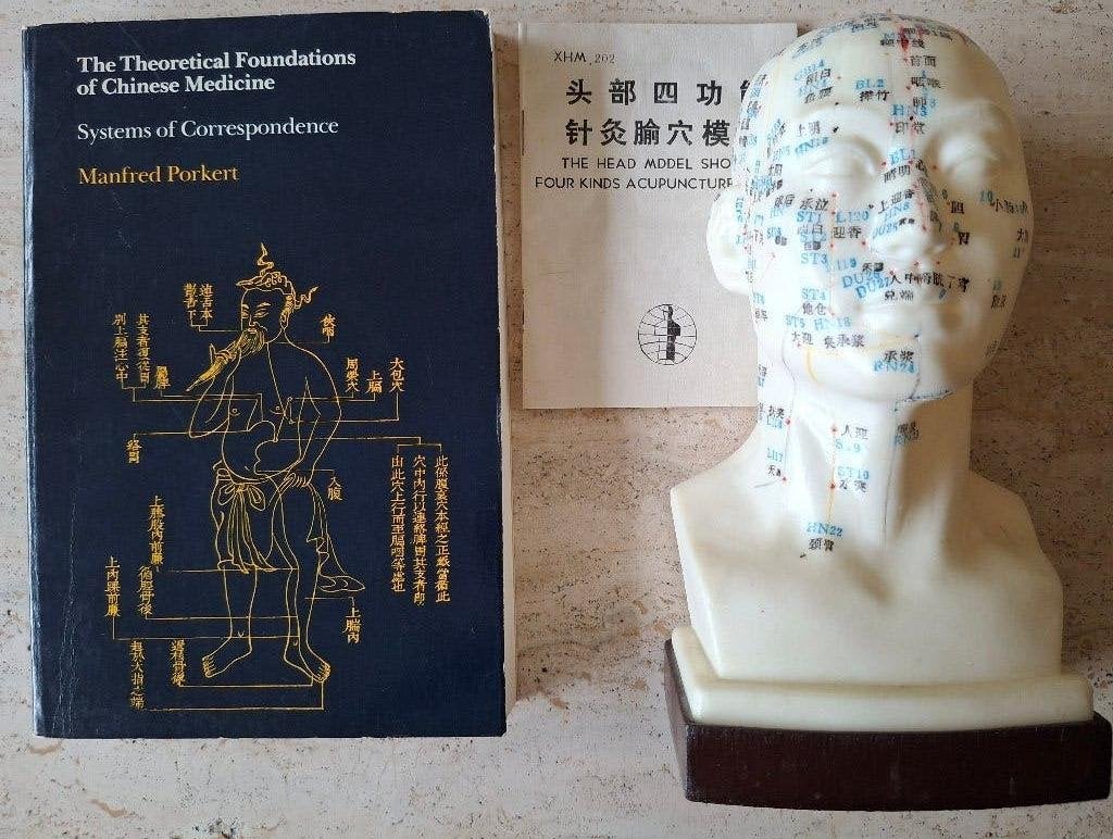 Vintage Acupunctuurmodel van hoofd + boek Chinese Medicine, Ophalen of Verzenden