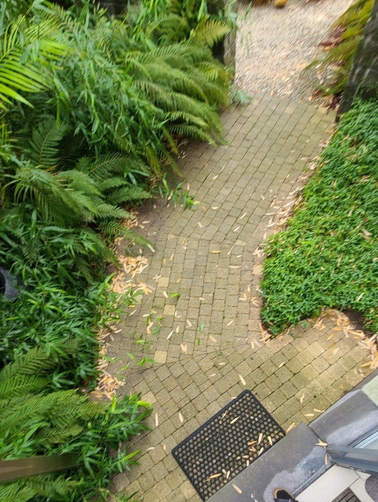 Gratis 6m2 betonklinkers, Jardin & Terrasse, Pavé & Dalles, Béton, Enlèvement, Utilisé, 5 à 10 m²