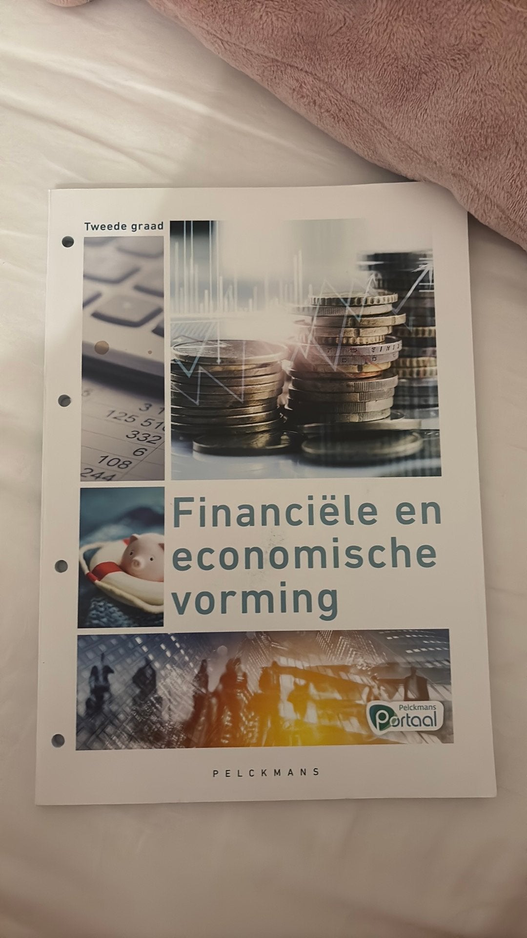 Financiële en economische vorming Leerwerkboek (incl. Pelckm, Livres, Livres scolaires, Enlèvement ou Envoi, Autres niveaux, Économie