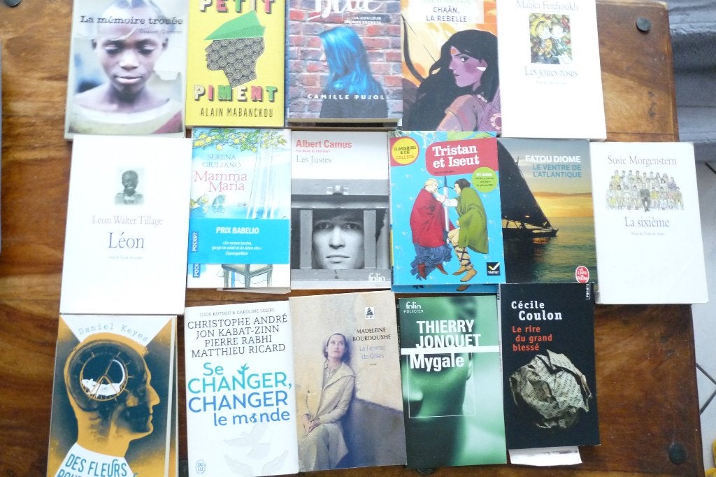 divers livres à vendre (lecture scolaire), Enlèvement ou Envoi